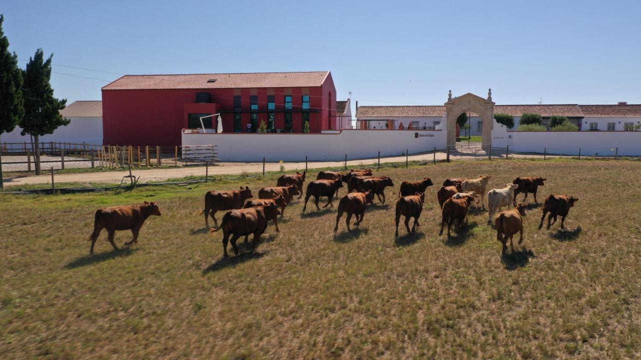 הוילה Santarém Quinta Da Gafaria מראה חיצוני תמונה