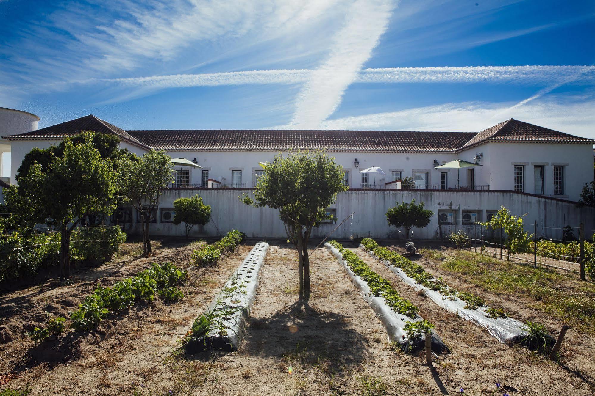 הוילה Santarém Quinta Da Gafaria מראה חיצוני תמונה