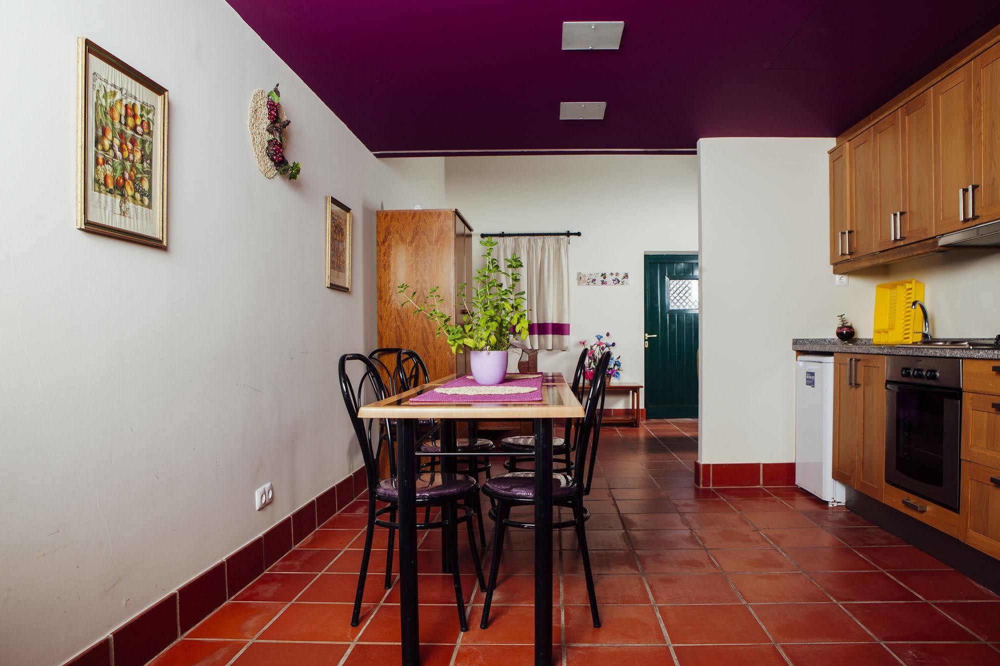 הוילה Santarém Quinta Da Gafaria מראה חיצוני תמונה